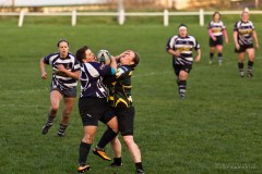 Stport photography Rugby